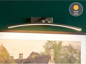 Paulmann 95561 - LED/10W Lampada per quadri BENTO 230V 50 cm ottone