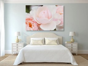 Quadro su tela – Pieno di rose