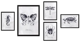Dipinti in set da 5 pezzi Butterfly - Wallity