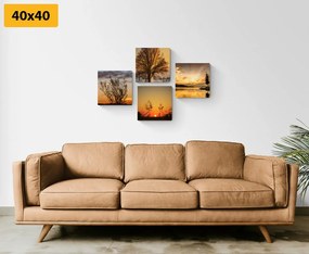 Set di quadri – Natura incantevole