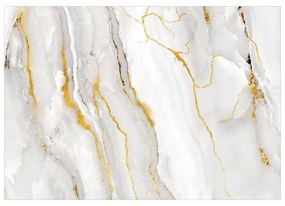 Fotomurale  Noble Stone  Larghezza x Altezza Home decor 450x315