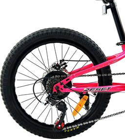 Bicicletta Mountain Bike per Bambini Unisex 20" MTB Phoenix 7V in Acciaio Fucsia...