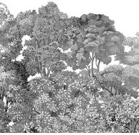 Rebel Walls Carta da parati panoramica Bellewood - Black