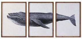 Set di 3 quadri DKD Home Decor 150 x 2 x 70 cm Balena