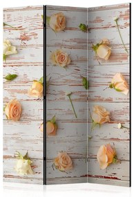 Paravento  Wood & Roses [Room Dividers]  Colore ---, Dimensioni e Misure 135x172