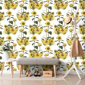 Carta da parati – Girasoli su sfondo bianco