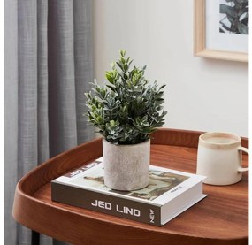 Eglo 428027 - Pianta artificiale in vaso CHITOSE 22x16 cm