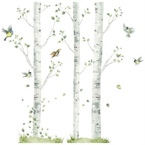 Adesivi Murali per Bambini - Betulle con Piccoli Uccelli | Inspio