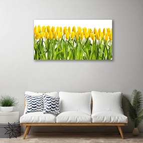 Quadro su tela Tulipani, fiori, natura 100x50 cm