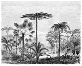 Fotomurale Paesaggio palme, bianco e nero