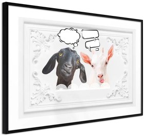 Poster  Conversation of Two Goats  Cornice Quadri Cornice nera, Larghezza x Altezza Home decor 30x20