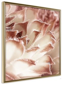 Poster  Floral Calyx  Cornice Quadri Cornice d'oro, Larghezza x Altezza Home decor 20x20