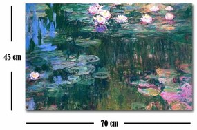 Riproduzione murale su tela, 45 x 70 cm Claude Monet - Wallity