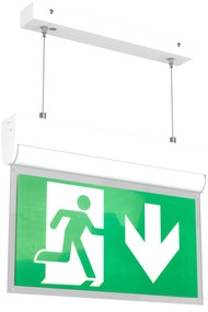 Lampada Emergenza a Sospensione 3h S.E S.A Cinema Mode - Bianca o nera Colore Bianco Freddo 6.000K