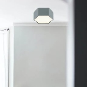 Argon 8784 - Plafoniera LED LIBERO LED/12W/230V 3000K grigio