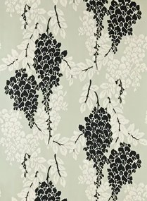 Farrow & Ball Carta da parati Wisteria - Vert de Terre/ Joa's White/ Off-Black