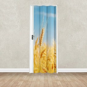 Porta a soffietto Digitale Grain in pvc multicolore L 115 x H 214 cm