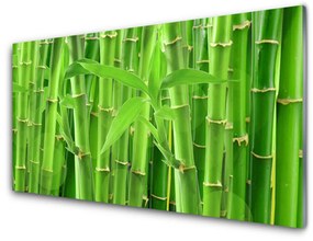 Quadro vetro acrilico Stelo della pianta del fiore di bambù 100x50 cm