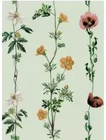 Coordonne Carta da parati Climbing Flowers - Melon