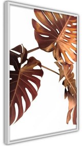 Poster Copper Monstera