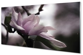 Quadro su vetro acrilico Magnolia 100x50 cm