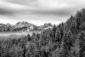 Carta da parati – Montagne ghiacciate in bianco e nero