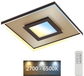 Briloner 3641-017 - Luce LED dimmerabile FRAME LED/30W/230V 2700-6500K + +TC