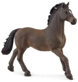 OLDENBURGER STALLION (5)