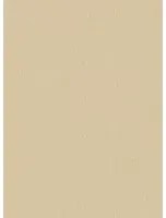 BoråsTapeter Carta da parati Linen - Linen Oat