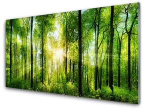 Quadro vetro Foresta Natura Alberi 100x50 cm