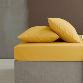 Federe per cuscino in set in percalle 2 pz 75x50 cm Easy Iron Percale – Catherine Lansfield