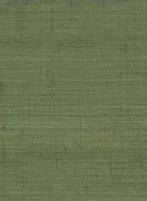 Carta da parati Ghicha Silk - Moss