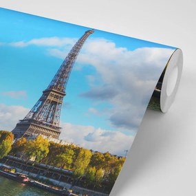 Carta da parati autoadesiva – Panorama affascinante di Parigi