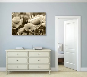 Quadro su tela – Campo di papaveri selvatici in versione seppia