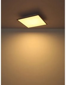 Globo 416080D2 - Plafoniera LED DORO LED/24W/230V