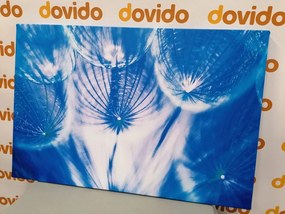 Stampa su tela – Soffione in tonalità blu