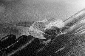 Quadro su tela – Natura morta Feng Shui in bianco e nero