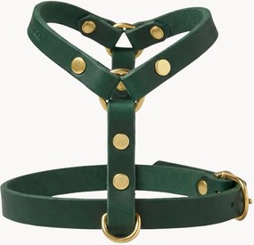Imbracatura per cani in pelle Y-Harness, varie misure