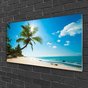 Quadro in vetro Palm Tree Beach Landscape 100x50 cm