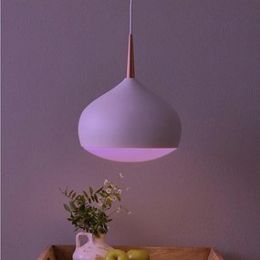 Eglo 97087 - Lampada a sospensione LED RGBW dimmerabile COMBA-C LED/18W/230V