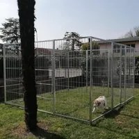 Box per cani da esterno con zincatura elettrolitica da 300x300x altezza 180 cm