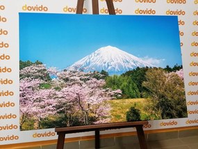 Stampa su tela – Vulcano Fuji