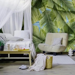 Fotomurale Foglia, verde 400X300 cm