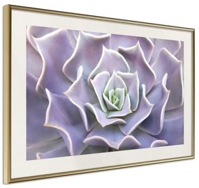 Poster  Like a Flower  Cornice Quadri Cornice d'oro con passe-partout, Larghezza x Altezza Home decor 45x30