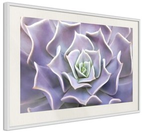 Poster  Like a Flower  Cornice Quadri Cornice nera, Larghezza x Altezza Home decor 60x40