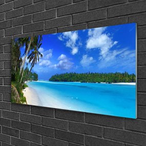 Quadro in vetro Spiaggia Palme Mare 100x50 cm