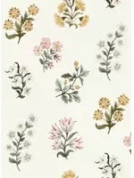 Clarke & Clarke Tapete Leiden - Blush/ Ochre