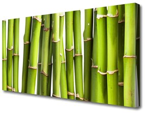 Quadro stampa su tela Bambù Pianta Natura 100x50 cm