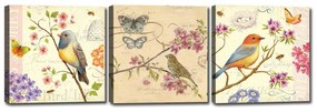 Set di 3 dipinti di uccelli - Tablo Center
