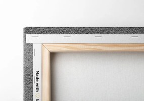 Quadro su tela – Conchiglie sulla spiaggia sabbiosa in bianco e nero